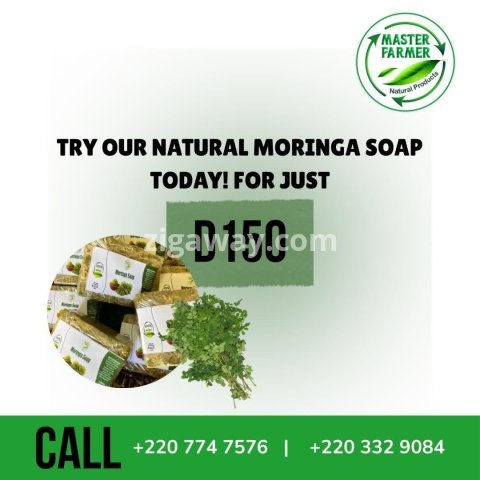 Moringa Soap